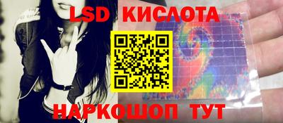 эйфоретик Гай