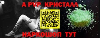 эйфоретик Гай