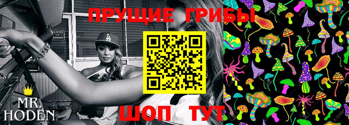 где продают наркотики  Галлюциногенные грибы MAGIC MUSHROOMS  Камышлов  Вход с VPN  Галлюциногенные грибы прущие грибы 