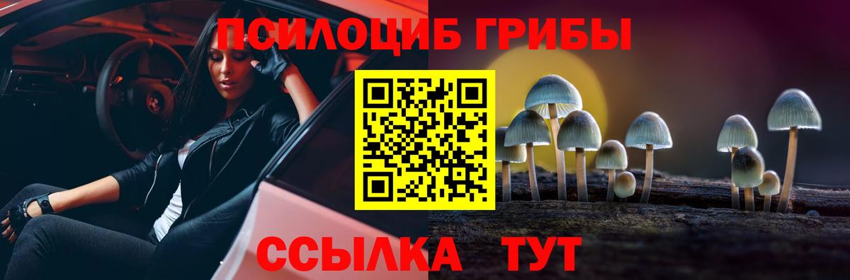 Галлюциногенные грибы ЛСД Камышлов